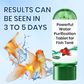 Powerful Aquarium Water Purification Tablet