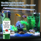 Powerful Aquarium Water Purification Tablet