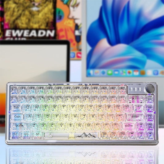 🎁Hot Sale 25% OFF⏳Universal Transparent Mechanical Keyboard with RGB Backlight