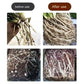 Universal Plant Rapid Rooting Liquid Fertilizer