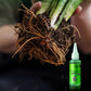 Plant rapid-effect nutrient solution: Quickly replenishes, grows strong, lush and green.