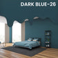 50% OFF 1kg Washable Interior Wall Paint