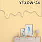 50% OFF 1kg Washable Interior Wall Paint