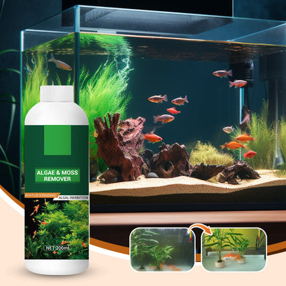 Half price for a limited time 🎉 Algae & Moss Remover for Fish Tanks & Ponds - Safe Water Purification