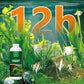 Half price for a limited time 🎉 Algae & Moss Remover for Fish Tanks & Ponds - Safe Water Purification