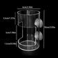 Aquarium Feeding Ring and Tray