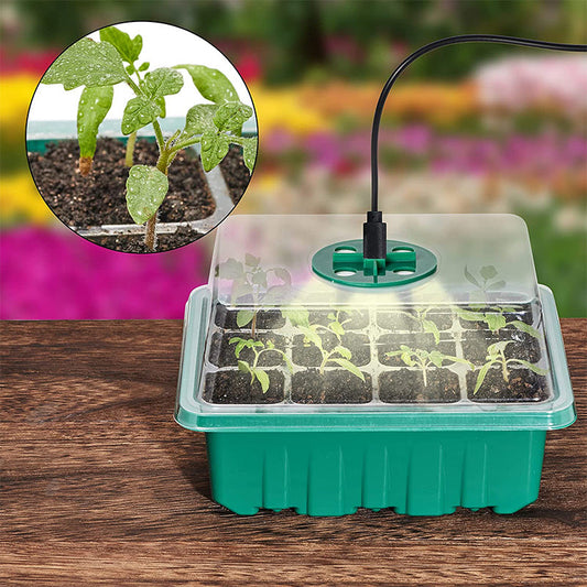 ⏰Limited offer 50% Discount🔥Seed Starter Trays with Grow Light