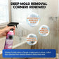 Multi-Surface Bathroom Cleaner for Mold & Limescale