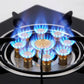 🎁Portable Gas Stove with Single Burner🔥