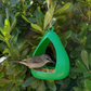 Modern Teardrop Hanging Bird Feeder