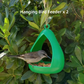 Modern Teardrop Hanging Bird Feeder