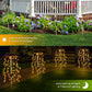 🌈 LIMITED-TIME 50% OFF! ✨ Solar Garden Lights Outdoor Decor – 100 LEDs, IP55 Waterproof, Easy Install 🌙