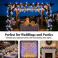 Romantic Butterfly Vine LED Lights