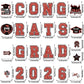 🎓🔥10000+ Sold! Large Graduation Party Decorations Magnets✨