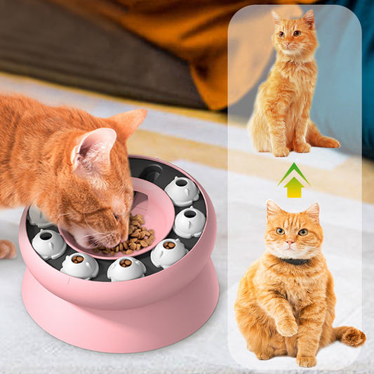 🐱 Cat Puzzle Feeder ✅ Rotating Food Game & Slow Feed Design | Fun Healthy Mealtimes 🧩
