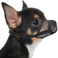 Breathable Mesh Dog Muzzle for Small Breeds
