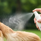 📢📢BUY 1 GET 1 FREE !! ⏰Pet Detangling & Shine Leave-in Conditioner Spray