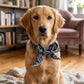 ⏳Time-Limited Special⏰Summer Pet Cooling Collar Wrap