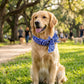 ⏳Time-Limited Special⏰Summer Pet Cooling Collar Wrap