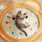 Non-Slip Cooling Splash Pet Mat