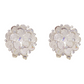 ⏳ Limited time 50% off! 💥💎Elegant Sparkling Floral Stud Earrings☁️