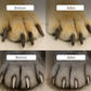 Pet Nail Clippers with LED Light