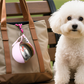 📢📢50% OFF !! ⏰Foldable Pet Water Bottle for Travel