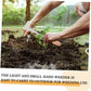 💥Limited - Time Sales: save 50%!!🔥Over 30K+ SOLD!!!🌿 Patio Weeder Tool – Easily Clear Weeds From Paving Gaps