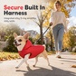 Hooded Dog Coat – Fleece‑lined, windproof & built‑in harness🐾
