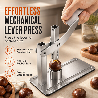 🔥Last Day Sale 50% OFF⏰✂️🌰Stainless Steel Chestnut and Nut Cracker🥜🎁